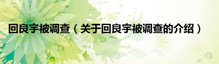 回良宇被调查（关于回良宇被调查的介绍）