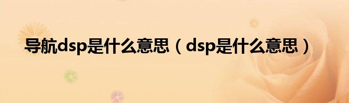 导航dsp是什么意思（dsp是什么意思）