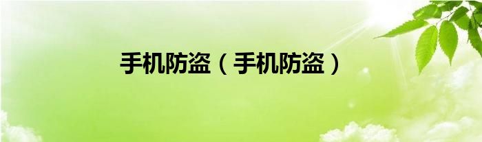 手机防盗（手机防盗）