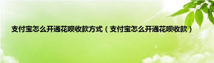 支付宝怎么开通花呗收款方式（支付宝怎么开通花呗收款）