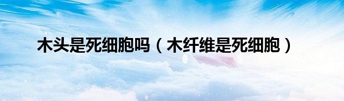 木头是死细胞吗（木纤维是死细胞）