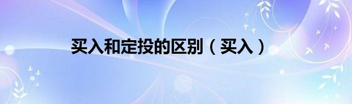 买入和定投的区别（买入）