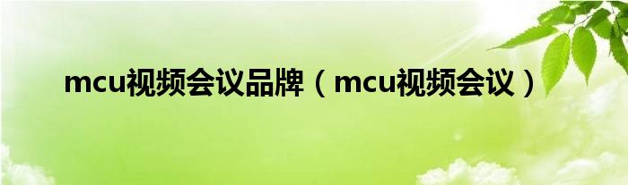 mcu视频会议品牌（mcu视频会议）