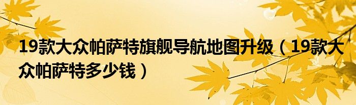 19款大众帕萨特旗舰导航地图升级（19款大众帕萨特多少钱）