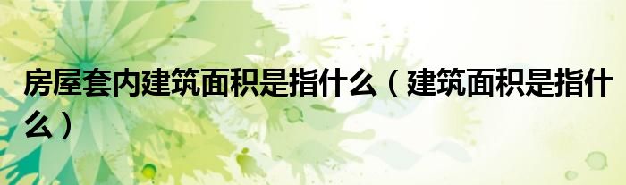 房屋套内建筑面积是指什么（建筑面积是指什么）