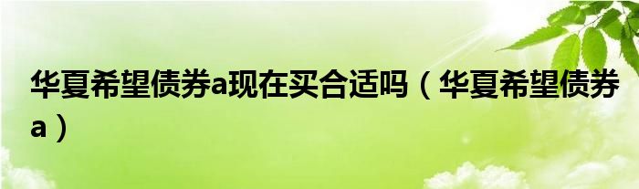 华夏希望债券a现在买合适吗（华夏希望债券a）