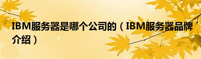 IBM服务器是哪个公司的（IBM服务器品牌介绍）