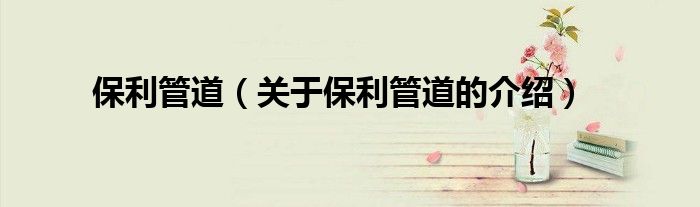 保利管道（关于保利管道的介绍）