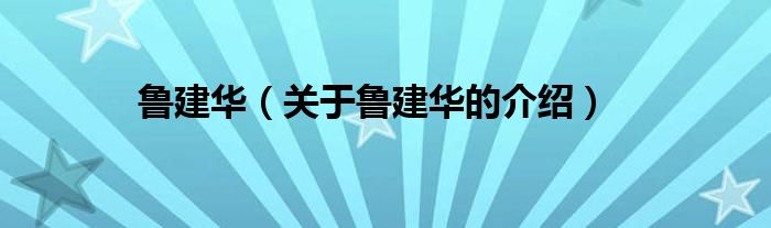 鲁建华（关于鲁建华的介绍）