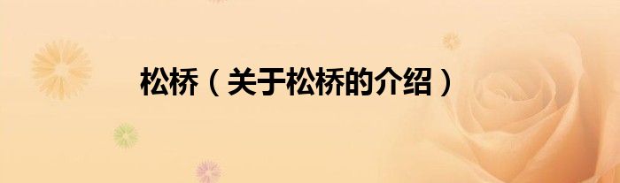 松桥（关于松桥的介绍）