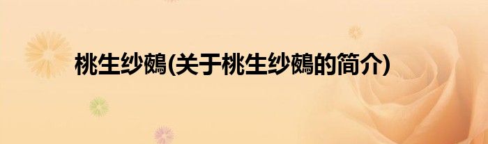 桃生纱鵺(关于桃生纱鵺的简介)