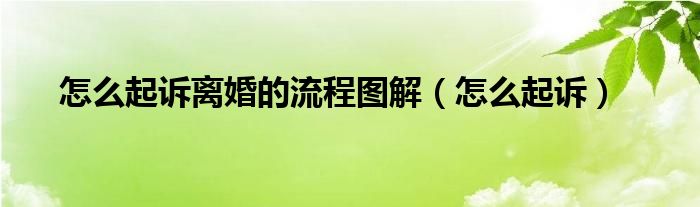 怎么起诉离婚的流程图解（怎么起诉）