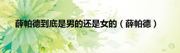 薛帕德到底是男的还是女的（薛帕德）
