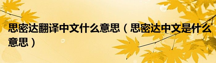 思密达翻译中文什么意思（思密达中文是什么意思）
