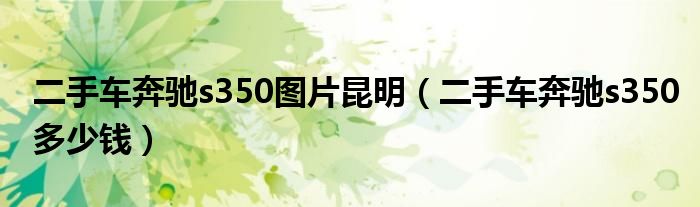 二手车奔驰s350图片昆明（二手车奔驰s350多少钱）