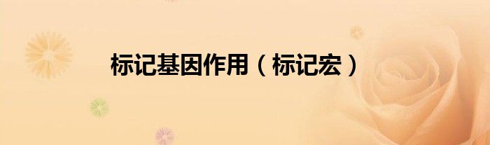 标记基因作用（标记宏）