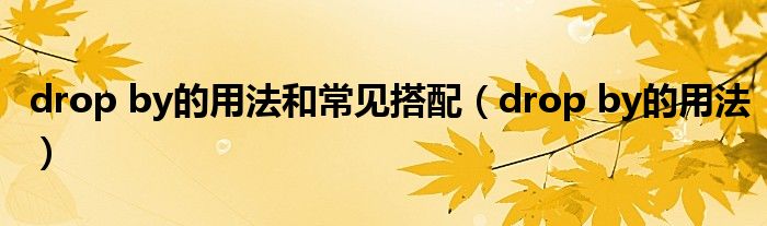 drop by的用法和常见搭配（drop by的用法）