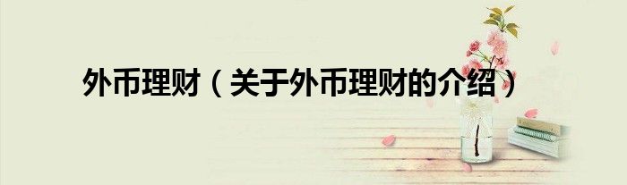 外币理财（关于外币理财的介绍）