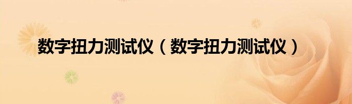 数字扭力测试仪（数字扭力测试仪）