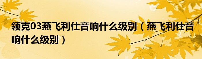 领克03燕飞利仕音响什么级别（燕飞利仕音响什么级别）