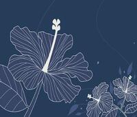 美国美国联邦贸易委员会起诉脸书